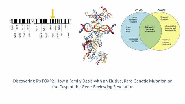 The location of FOXP2 on chromosome seven, the tertiary structure, and a Venn diagram comparing the problems associated with FOXP1 and FOXP2 mutations.