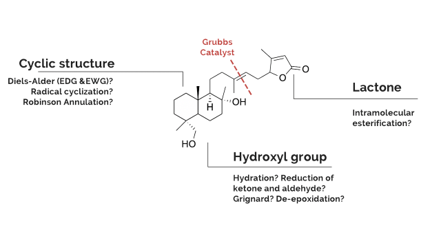 Diagram of target molecule.