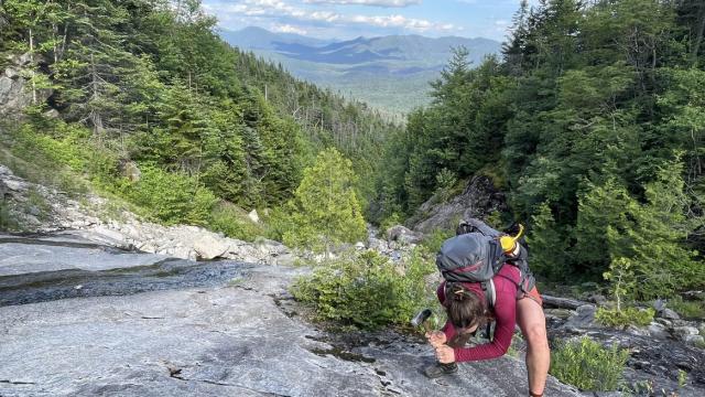 Sampling collecting on Twin Slide on Santanoni Mountain in the Adirondacks