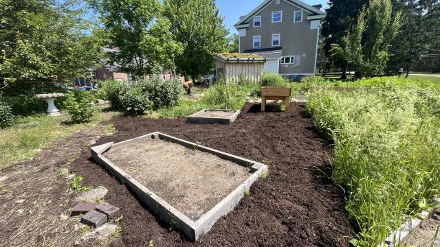 Raised garden beds surrounded by fresh mulch, with plants in the background.