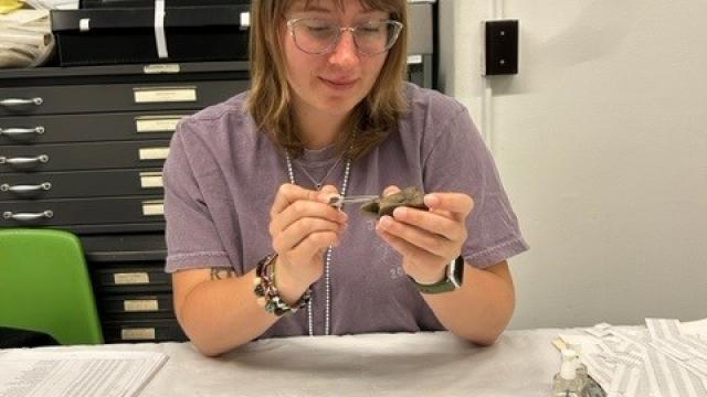 This image is of Caitlin Erb labeling artifacts for her Internship. 