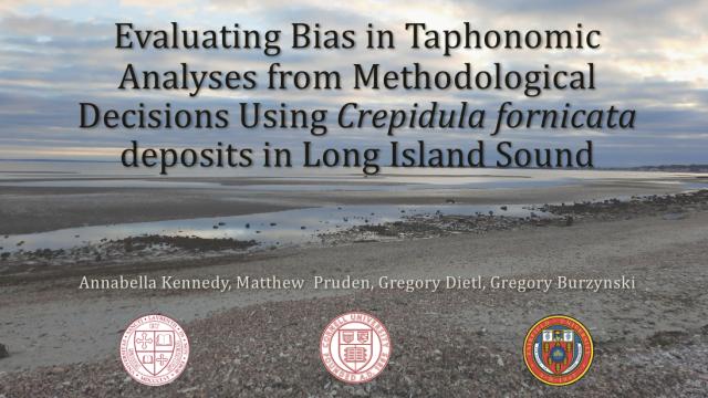 Image reads: Evaluating Bias in Taphonomic Analyses from methodological decisions using Crepidula fornicata deposits in Long Island Sound. The background has a beach with multiple piles of small shells.