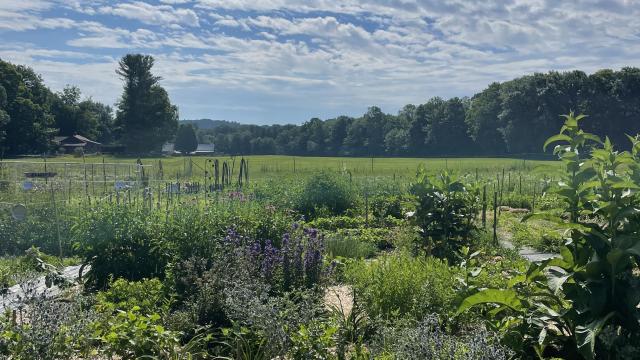 bluffside community garden