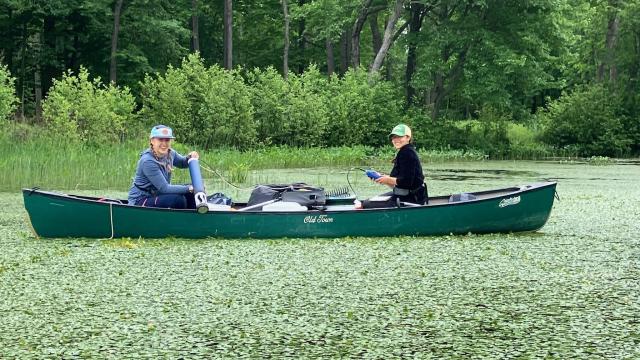 Students using lab equipment from a canoe in a river filled with vegetation