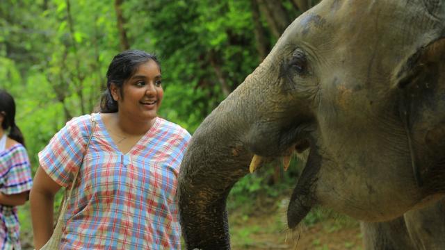 My solo trip to Chiang Mai 