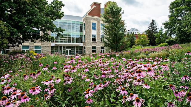 A photo of Johnson Hall of Science on St Lawrence Universities Campus. The photo was taken standing far away, with a field of pink flowers in front of the building.