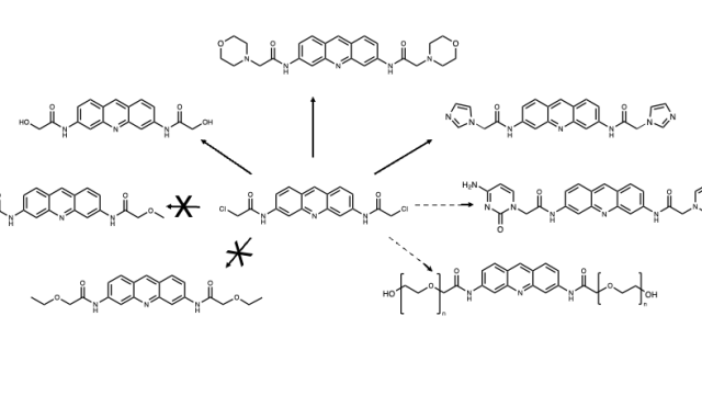 Proflavine Derivative Scheme