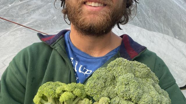 Holding an armful of broccoli after harvest 