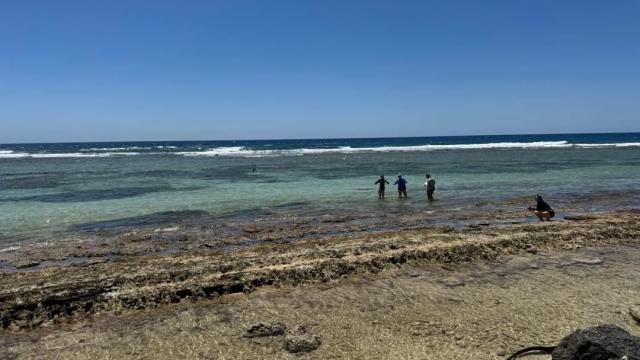 Data collection on the western end of the lagoon showing 5 students collecting data with waves breaking along reef crest in the background image taken from shoreline. 
