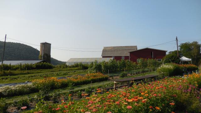 Gardenworks Farm LLC