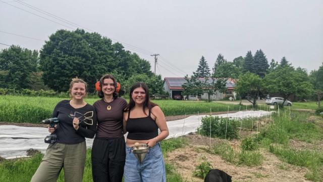 littleGrasse Foodworks