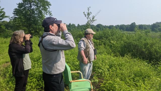 Bird walk with littleGrasse shareholders