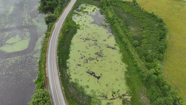 Identification Drone Image