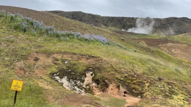 Ella&#039;s Internship Image