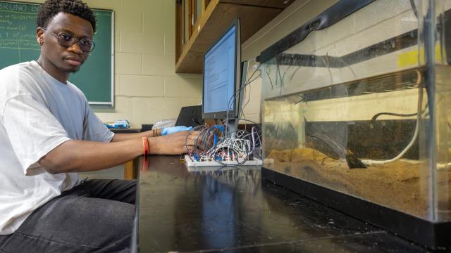 Bruno, monitor, and tank with clam attached to breadboard in frame.