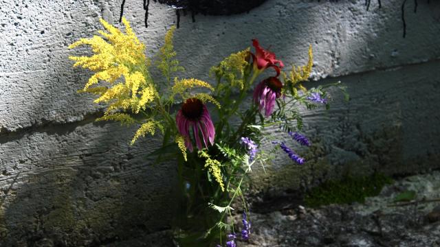 Dying Flowers