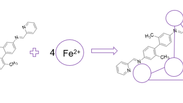 Nitrogen-based organic ligand with methyl substituients reacting via addition and self assembly to Iron (II) core