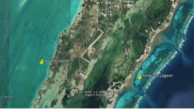 Satellite image showing locations of windward (right) and leeward (left) lagoon on Ambergris Caye, Belize.