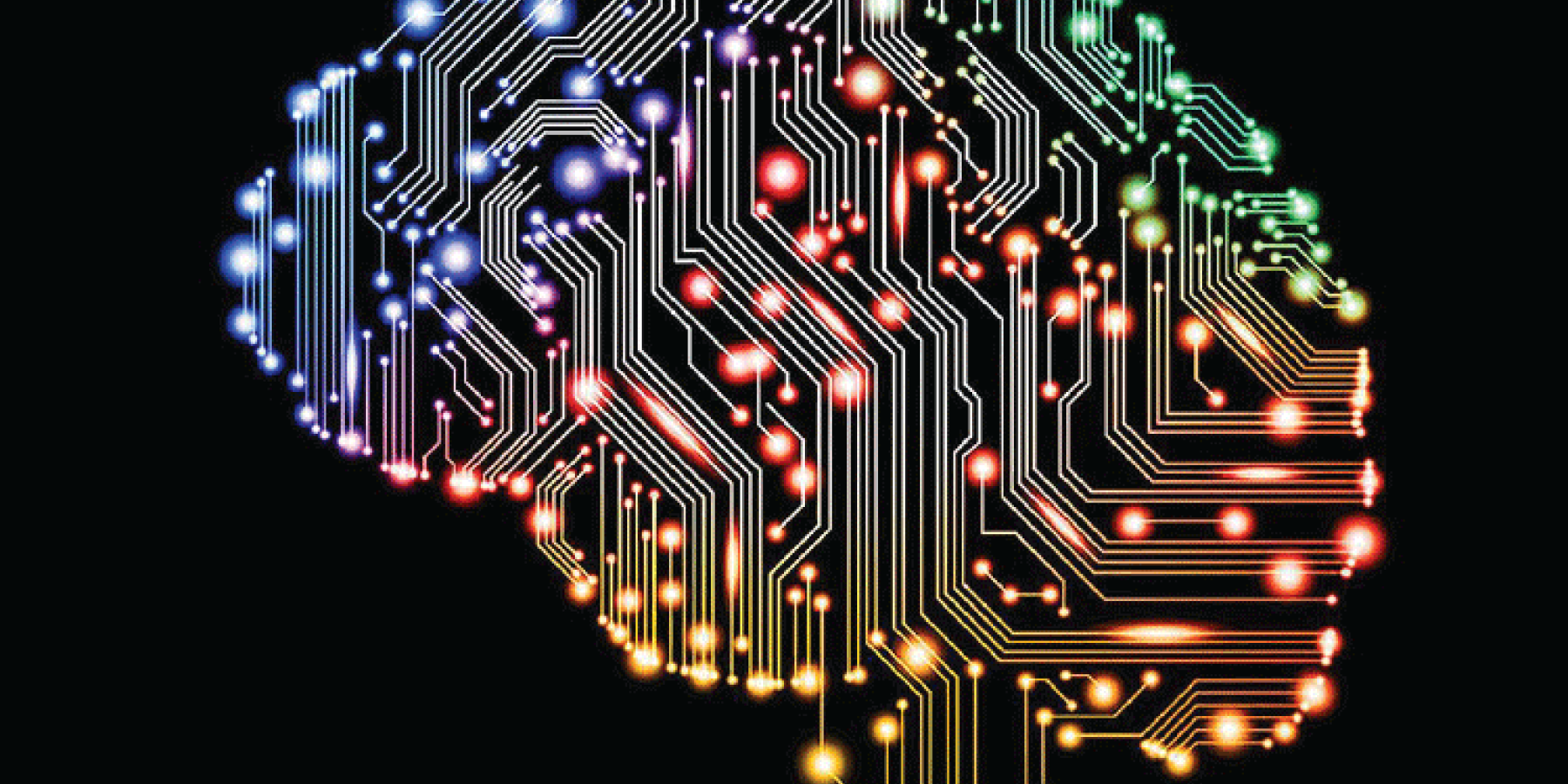 graphic of the brain