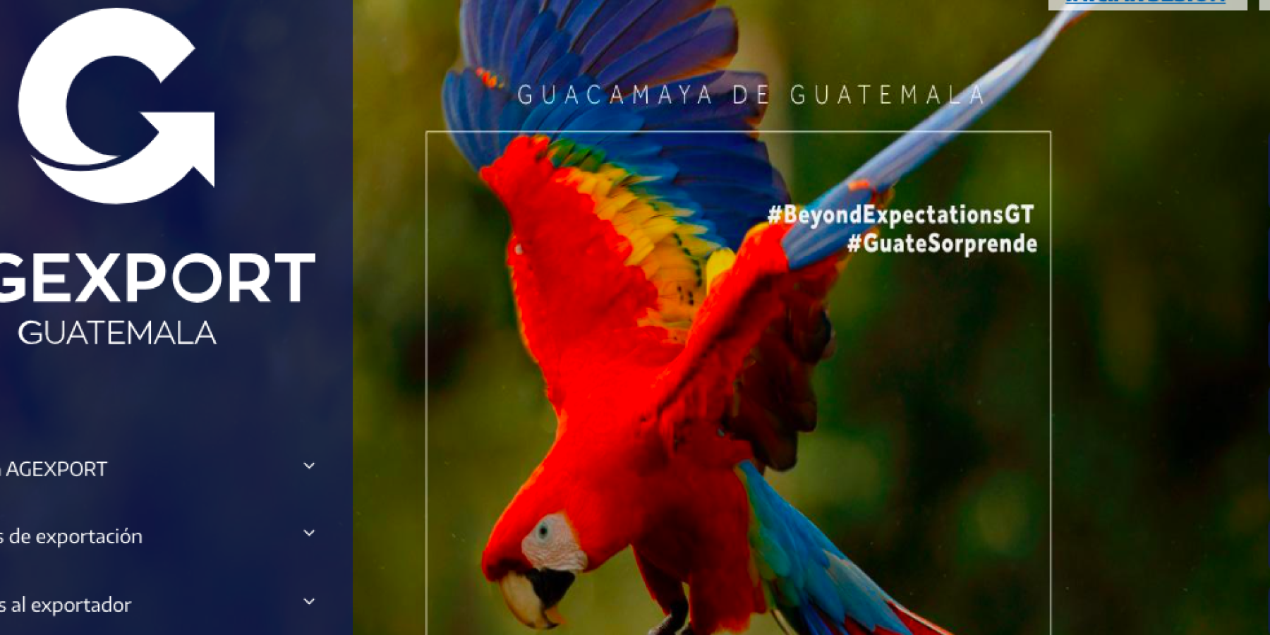 The online information page the organization I worked with primarily uses is the leading platform to unify all the regional exporters in Guatemala.