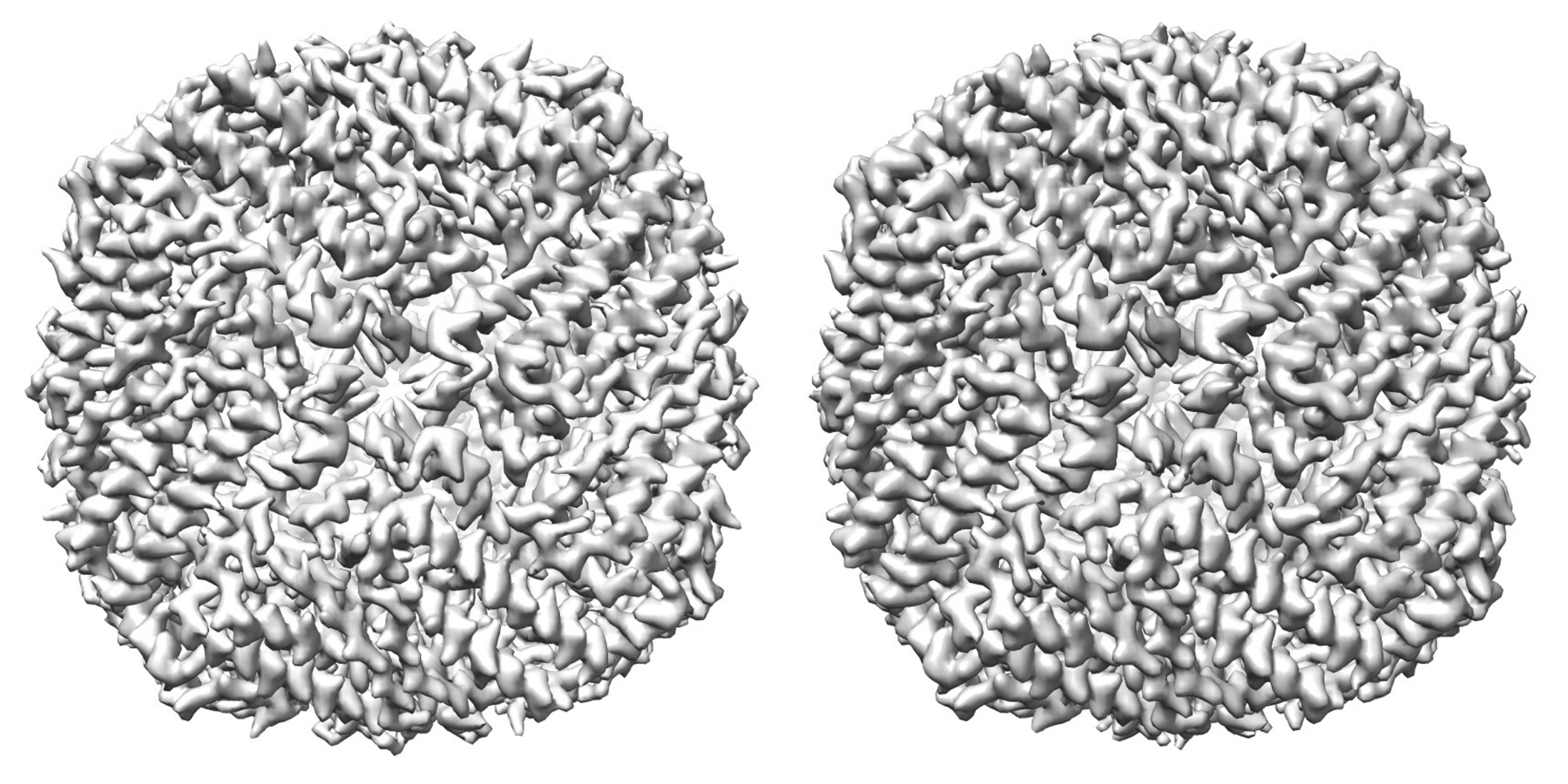 3D Ferritin Molecules