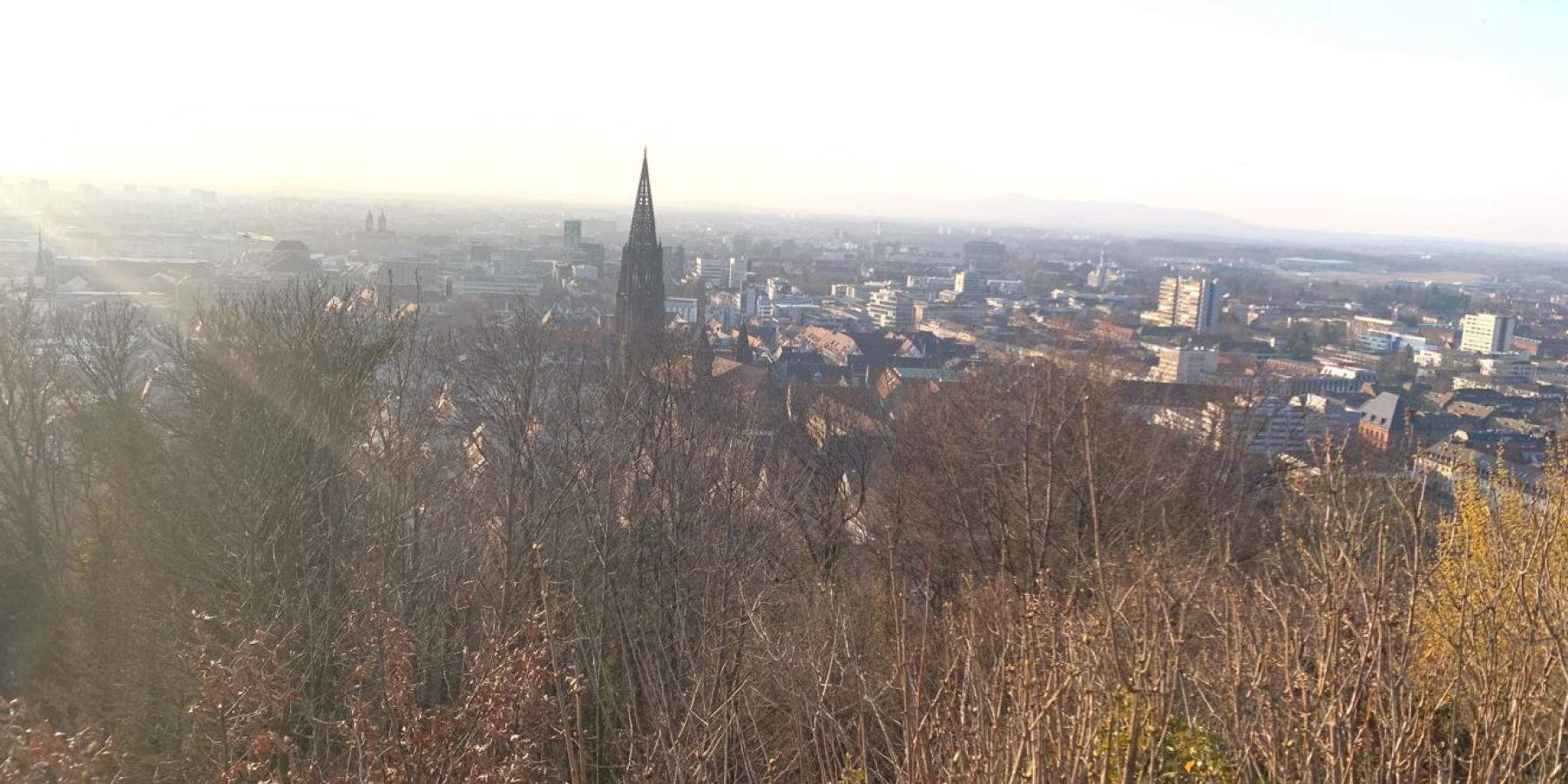 The skyline of Freiburg, Germany.
