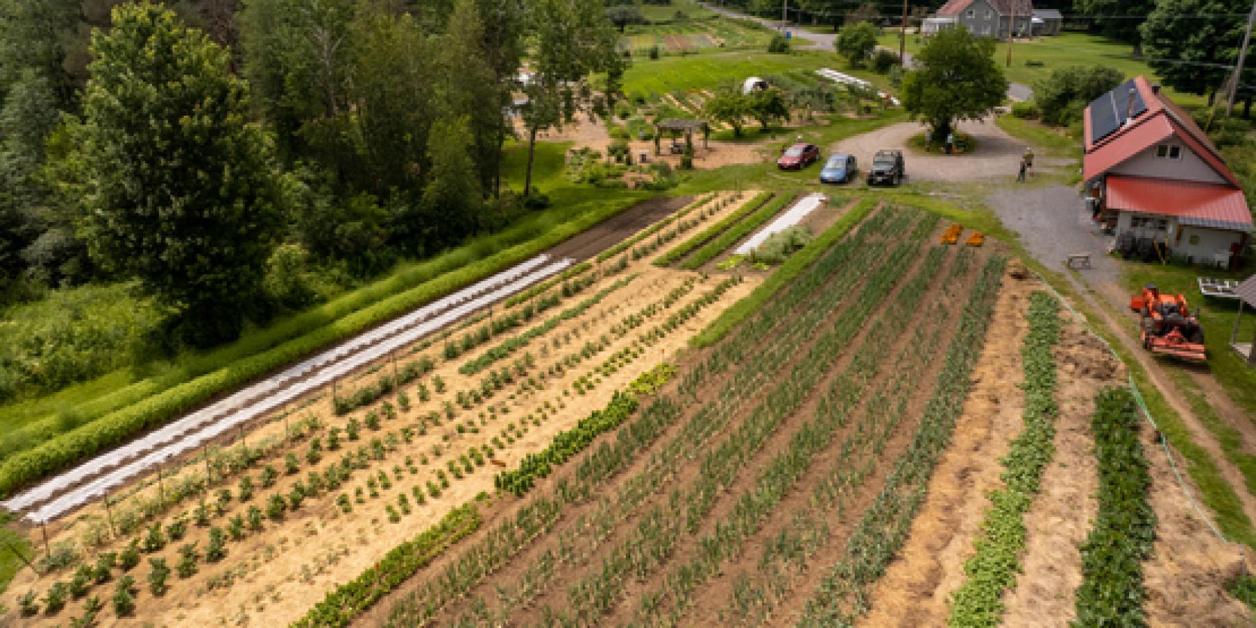 little Grasse Foodworks