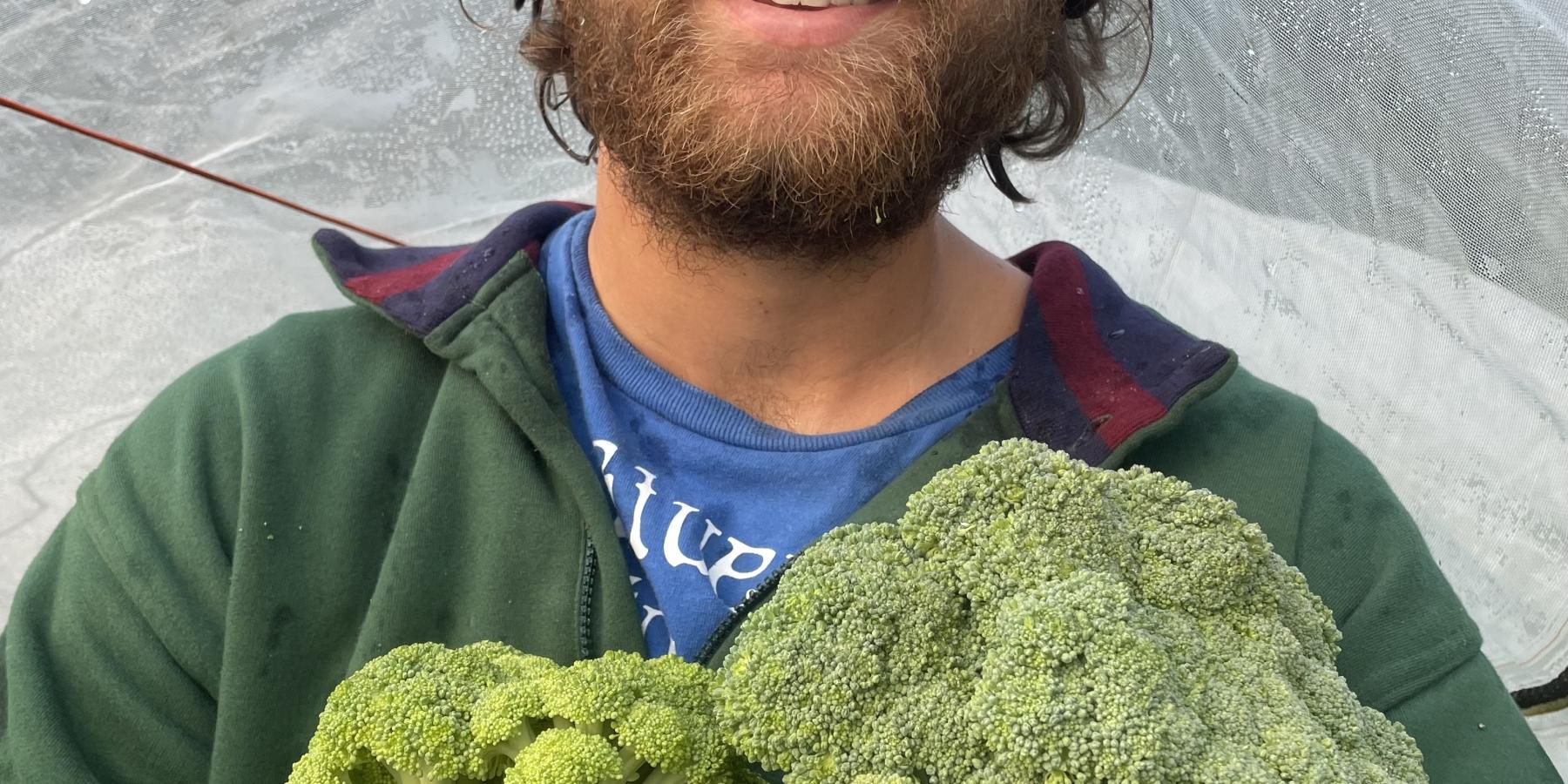 Holding an armful of broccoli after harvest