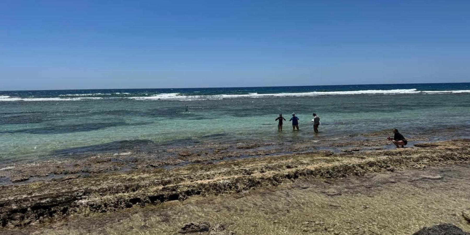 Data collection on the western end of the lagoon showing 5 students collecting data with waves breaking along reef crest in the background image taken from shoreline.