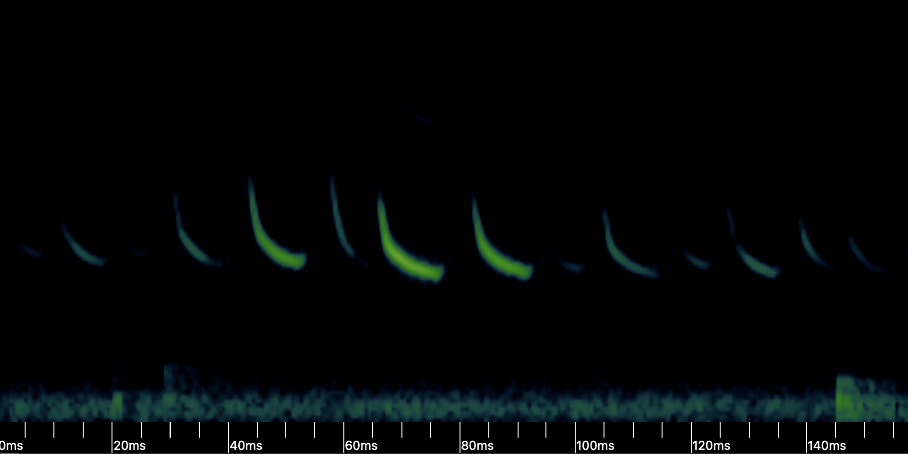 Spectrogram of Lasiurus borealis (Eastern Red Bat) from Kaleidoscope Pro software