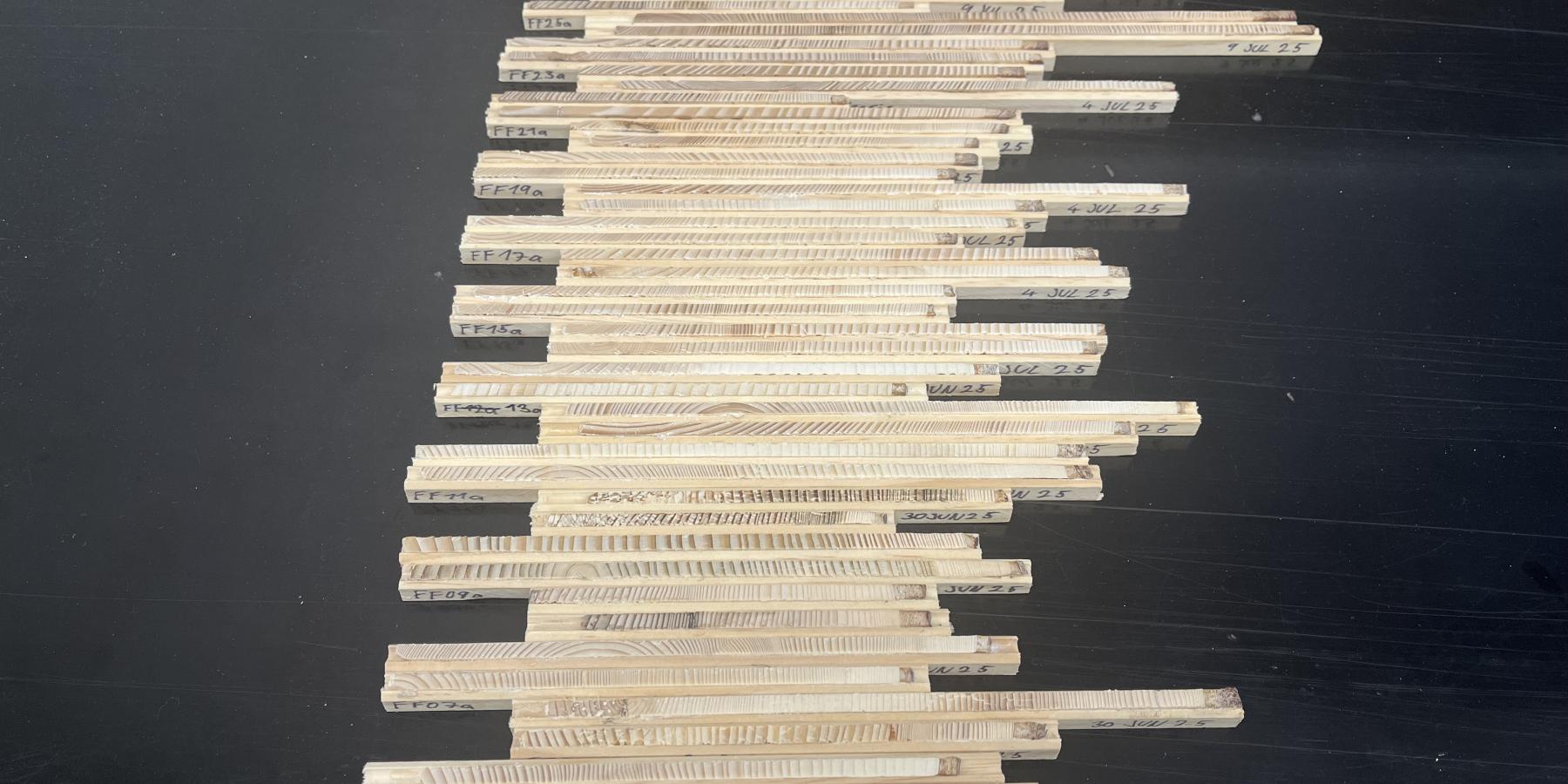 All 67 Individual Samples