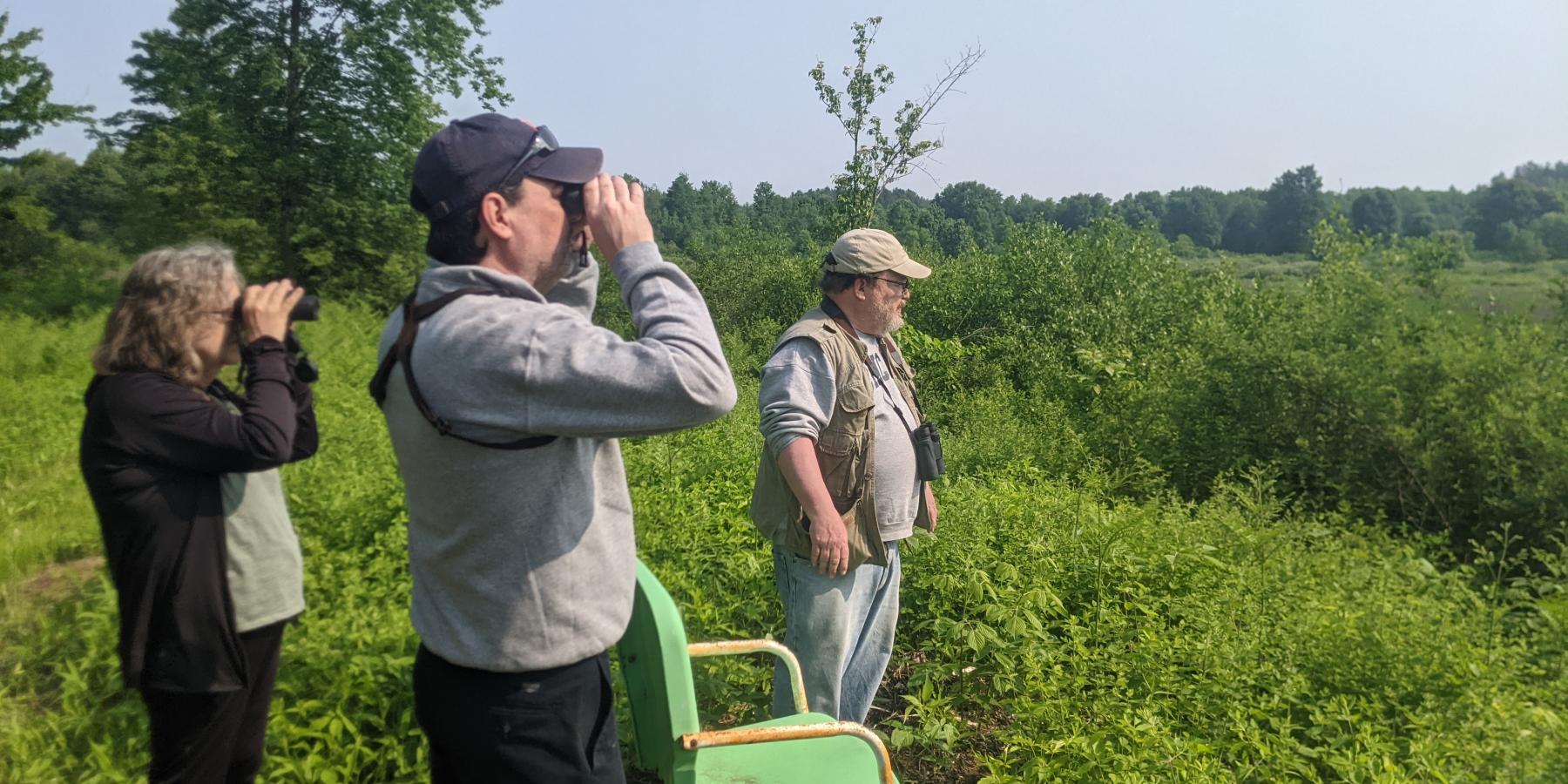 Bird walk with littleGrasse shareholders