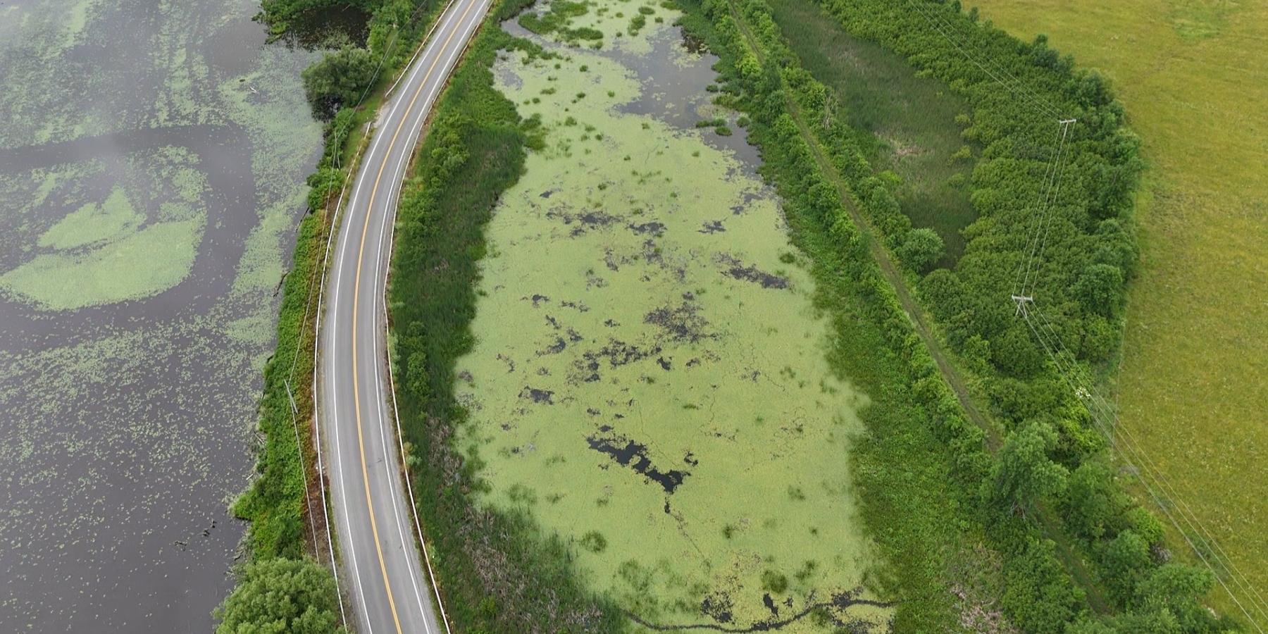 Identification Drone Image