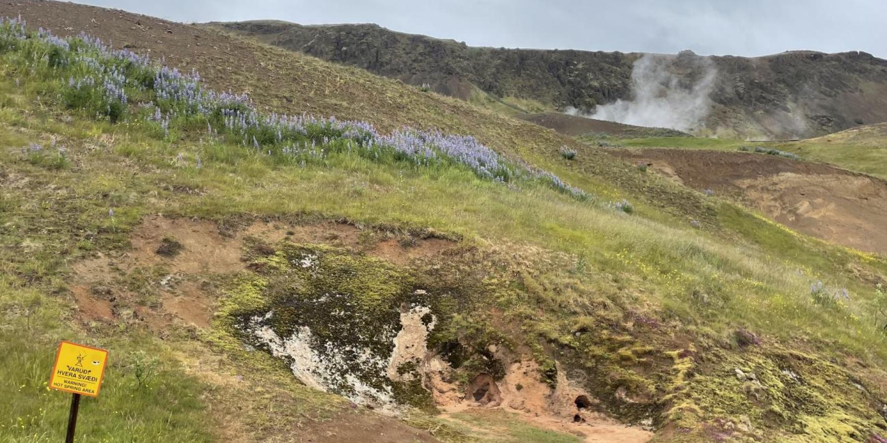 Ella&#039;s Internship Image