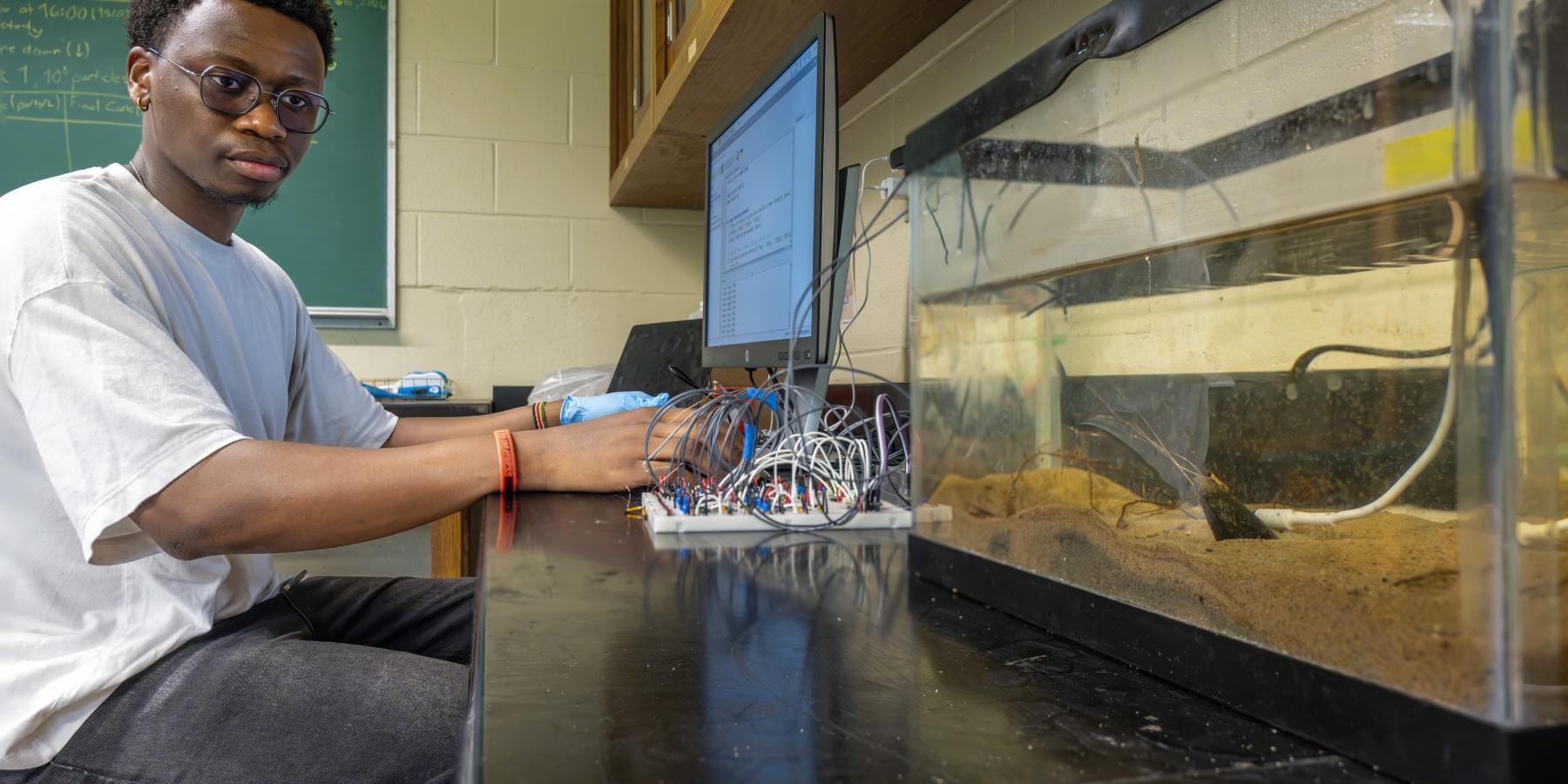 Bruno, monitor, and tank with clam attached to breadboard in frame.