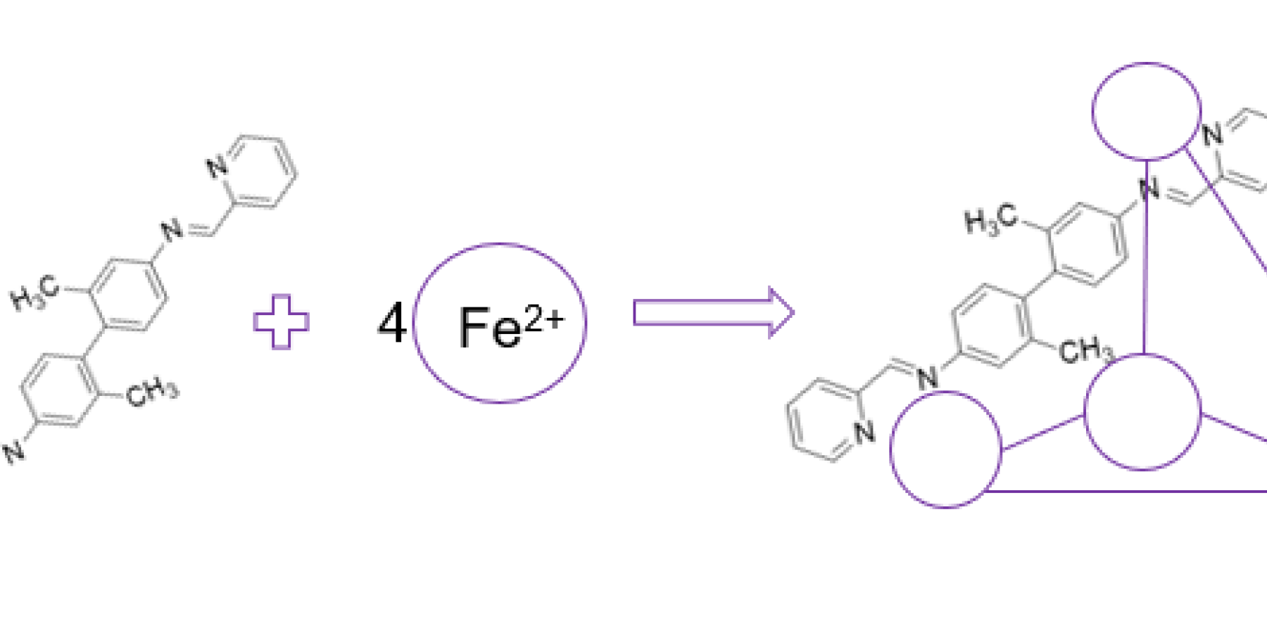 Nitrogen-based organic ligand with methyl substituients reacting via addition and self assembly to Iron (II) core