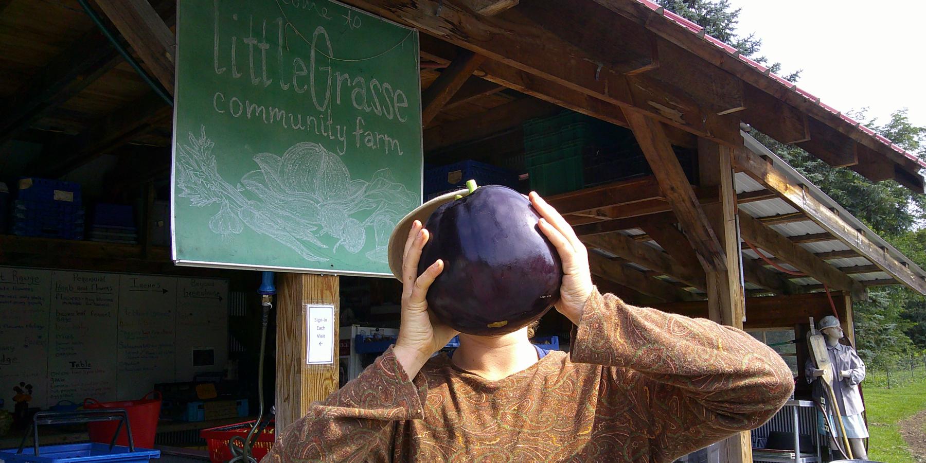 littleGrasse