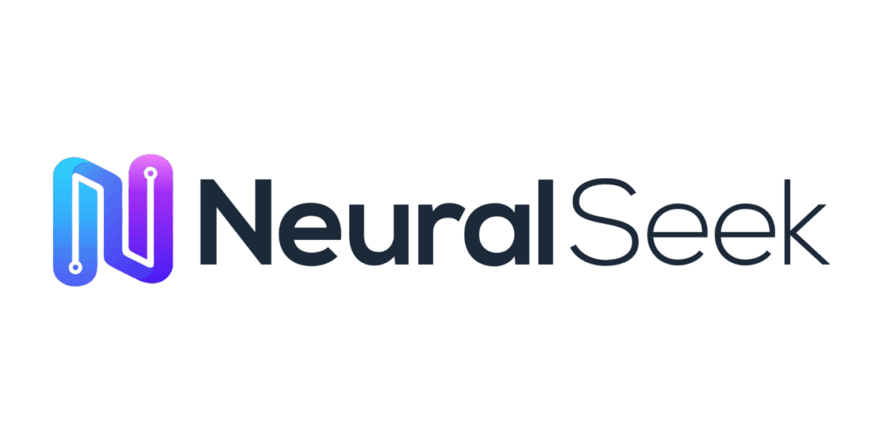 A Logo of a Cyberlike 'N' followed by the words NeuralSeek its the logo and the name of the company