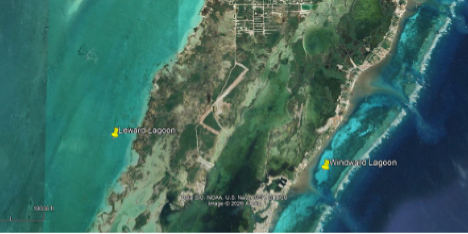 Satellite image showing locations of windward (right) and leeward (left) lagoon on Ambergris Caye, Belize.