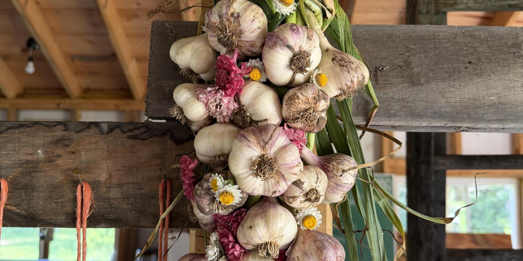 Braided Garlic