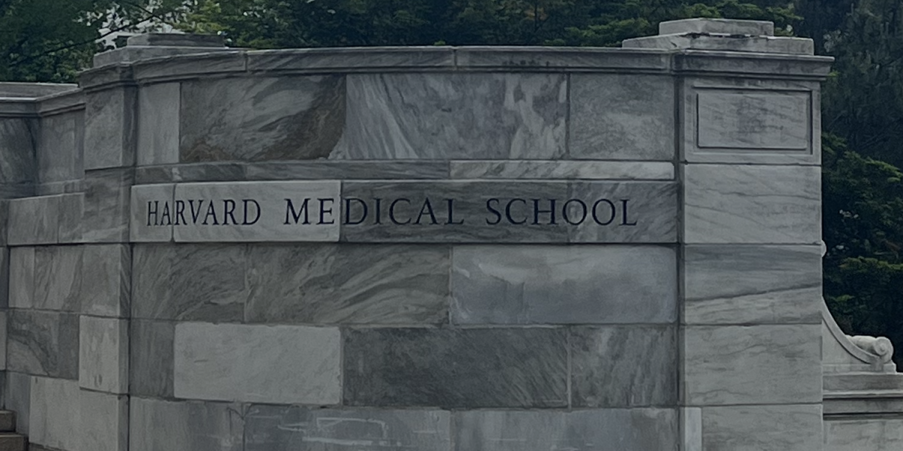 Harvard Medical School Sign