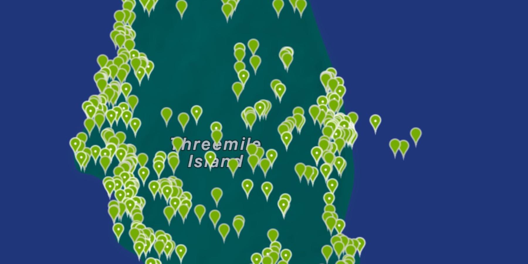Screenshot of species observations made on Three Mile Island.