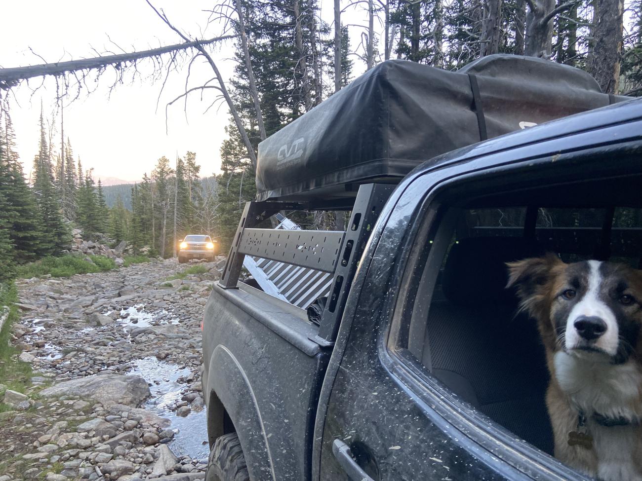 Midas during our off-roading adventure