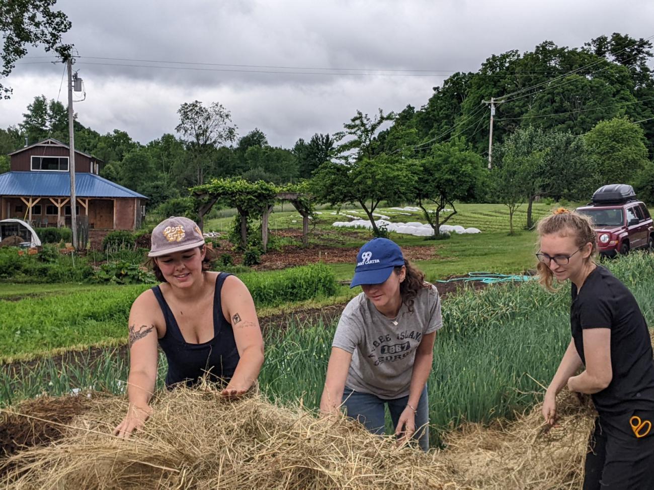 Three farm workers smiling as they push hay a bail of hay. 