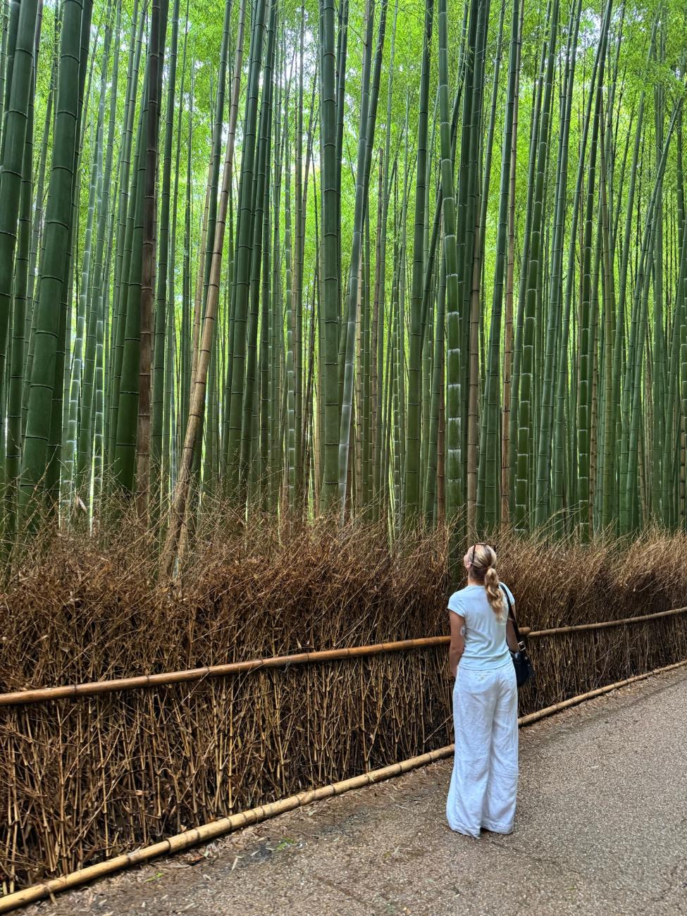 Arashiyama Bamboo Forest, Kyoto, Japan  