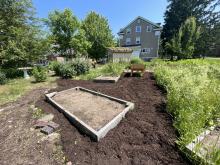Raised garden beds surrounded by fresh mulch, with plants in the background.