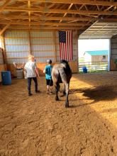 Bridget Hastings walking with a client and horse.