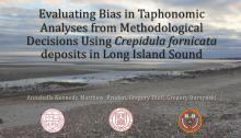 Image reads: Evaluating Bias in Taphonomic Analyses from methodological decisions using Crepidula fornicata deposits in Long Island Sound. The background has a beach with multiple piles of small shells.