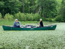 Students using lab equipment from a canoe in a river filled with vegetation