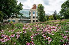 A photo of Johnson Hall of Science on St Lawrence Universities Campus. The photo was taken standing far away, with a field of pink flowers in front of the building.